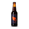De Grote Beer van Meteoor